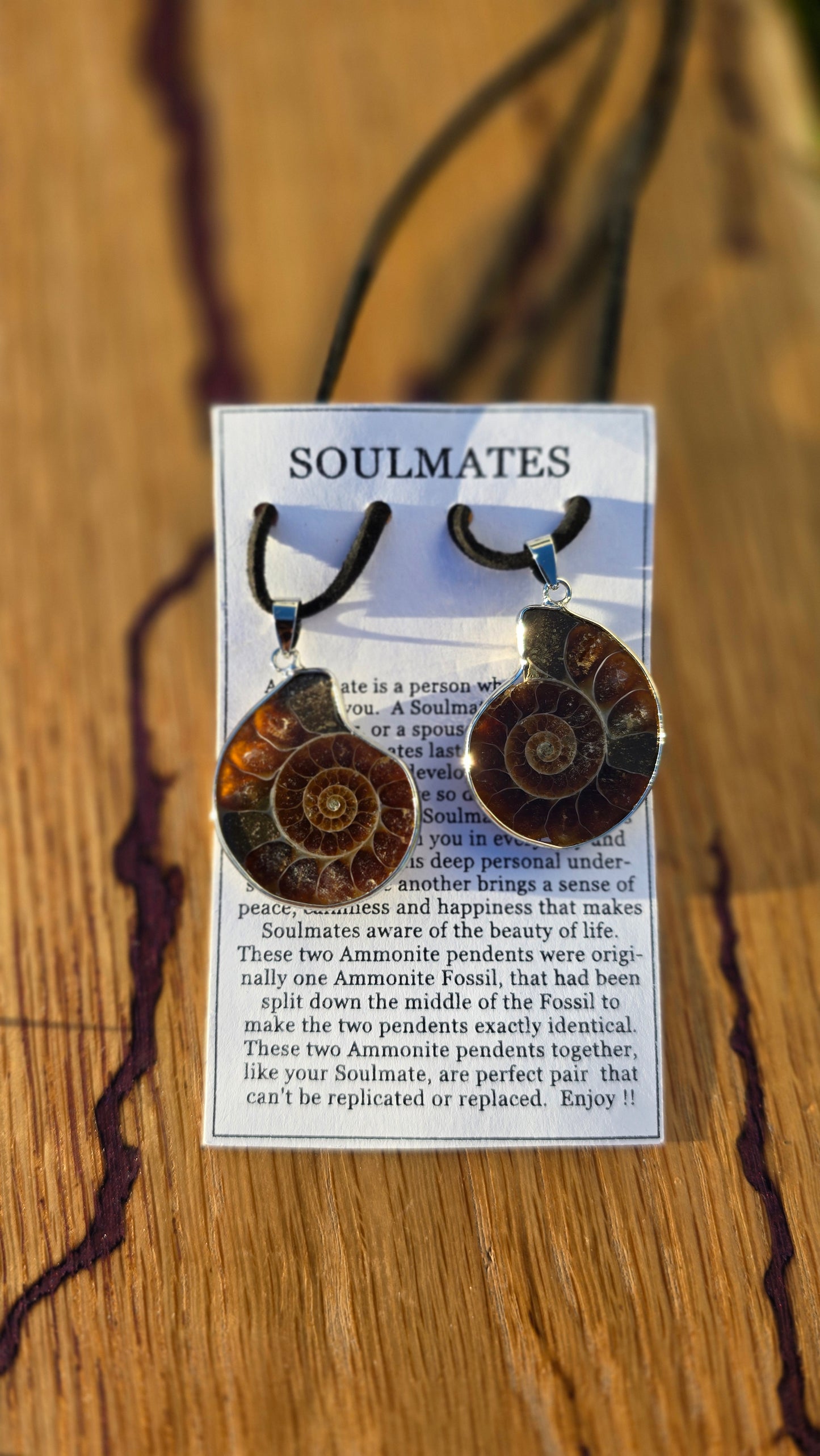 Soulmates - Ammonite Fossils