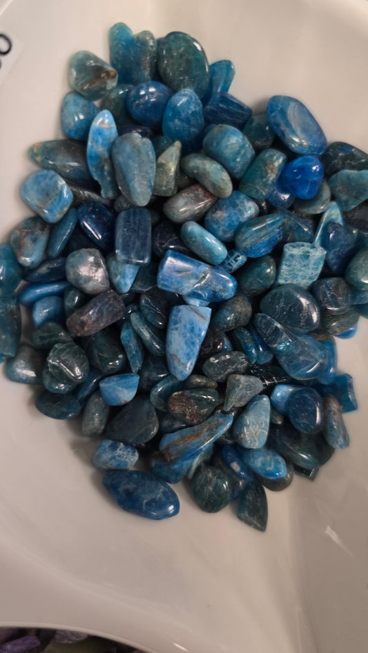 Blue Apatite Chips