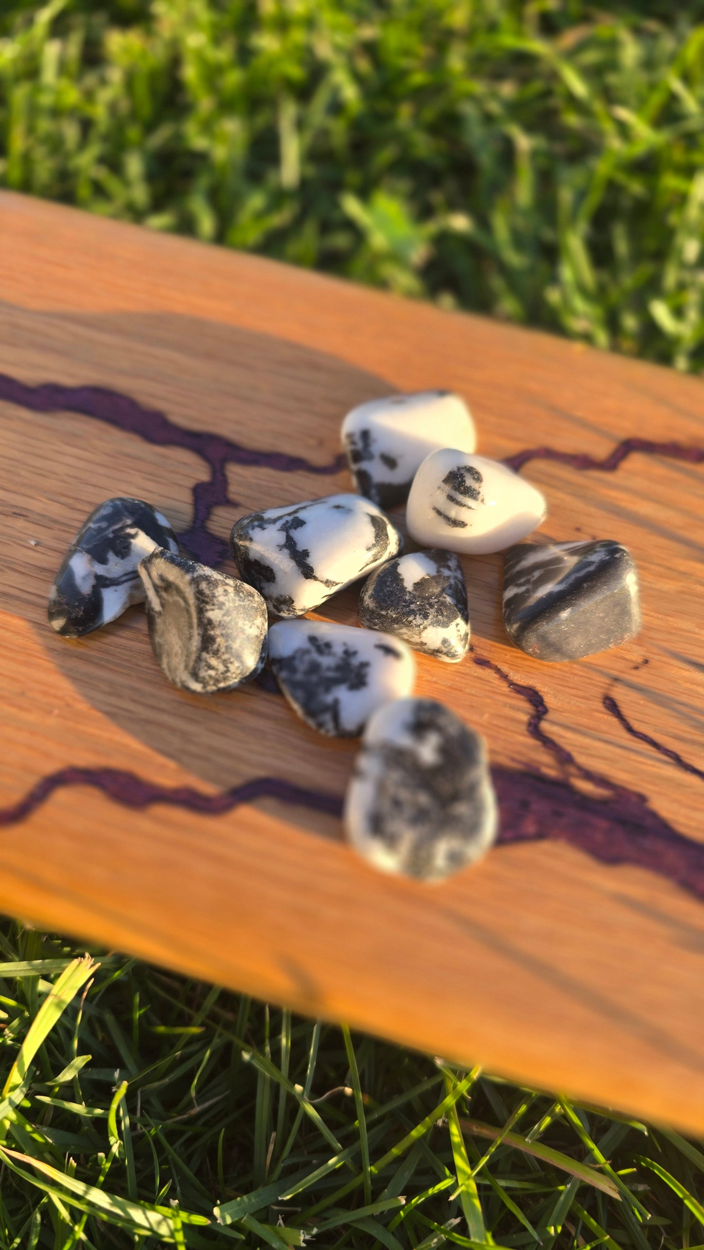 Large Zebra Jasper