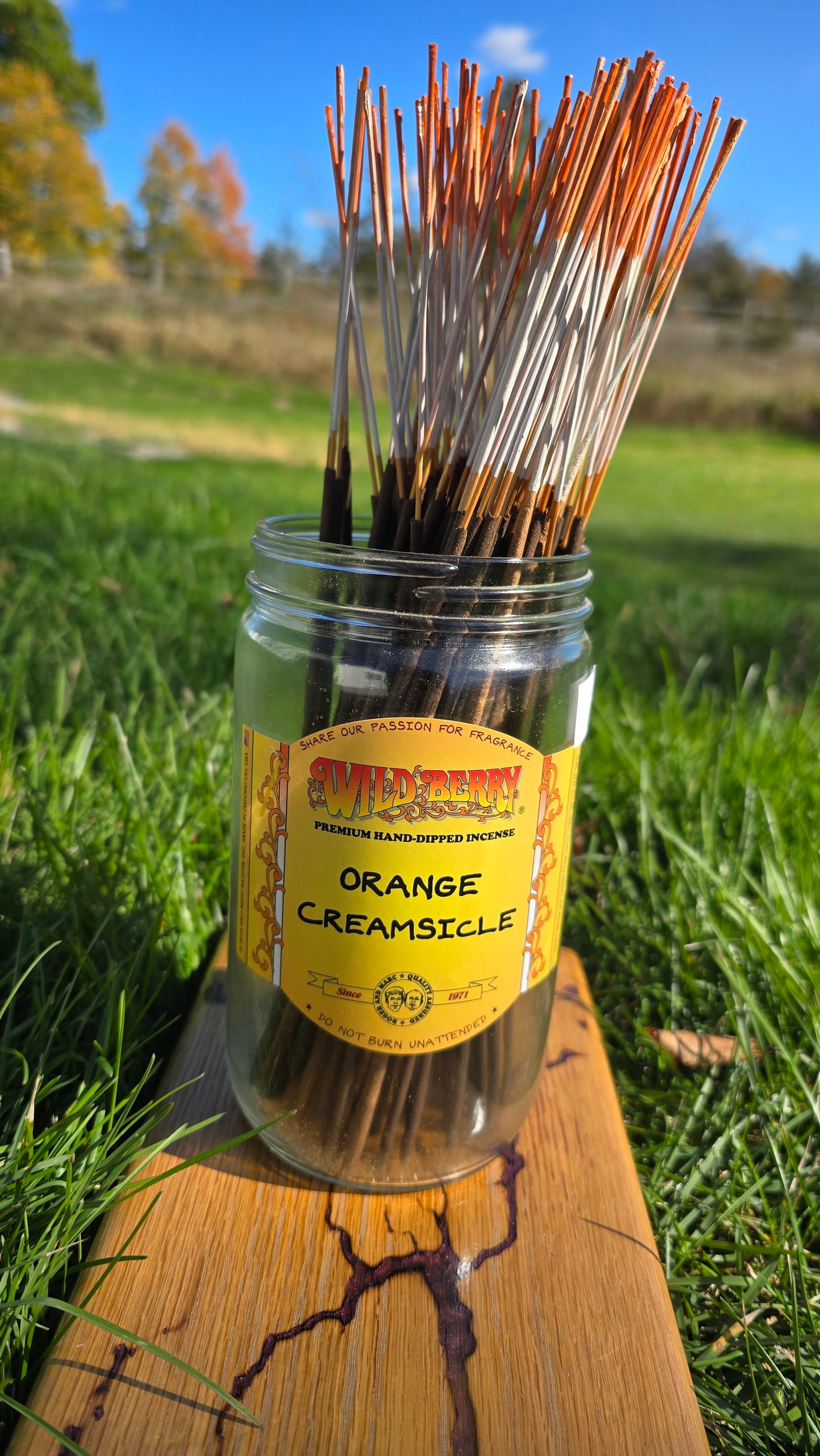 Individual Wild Berry Incense - Orange Creamsicle
