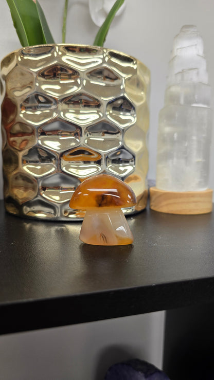 Natural Carnelian Mushroom