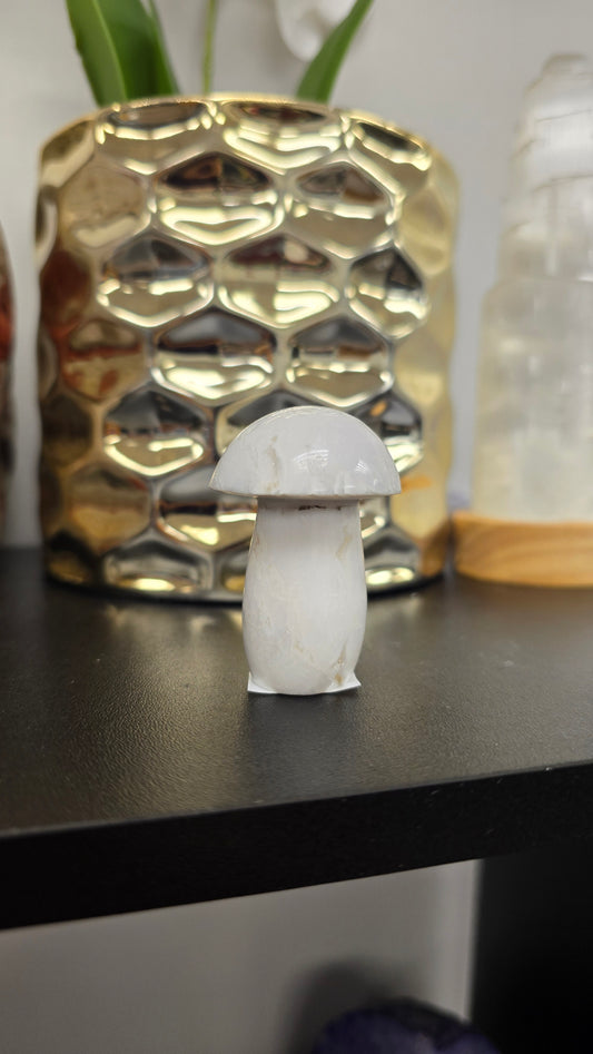 Snow Agate Mushroom