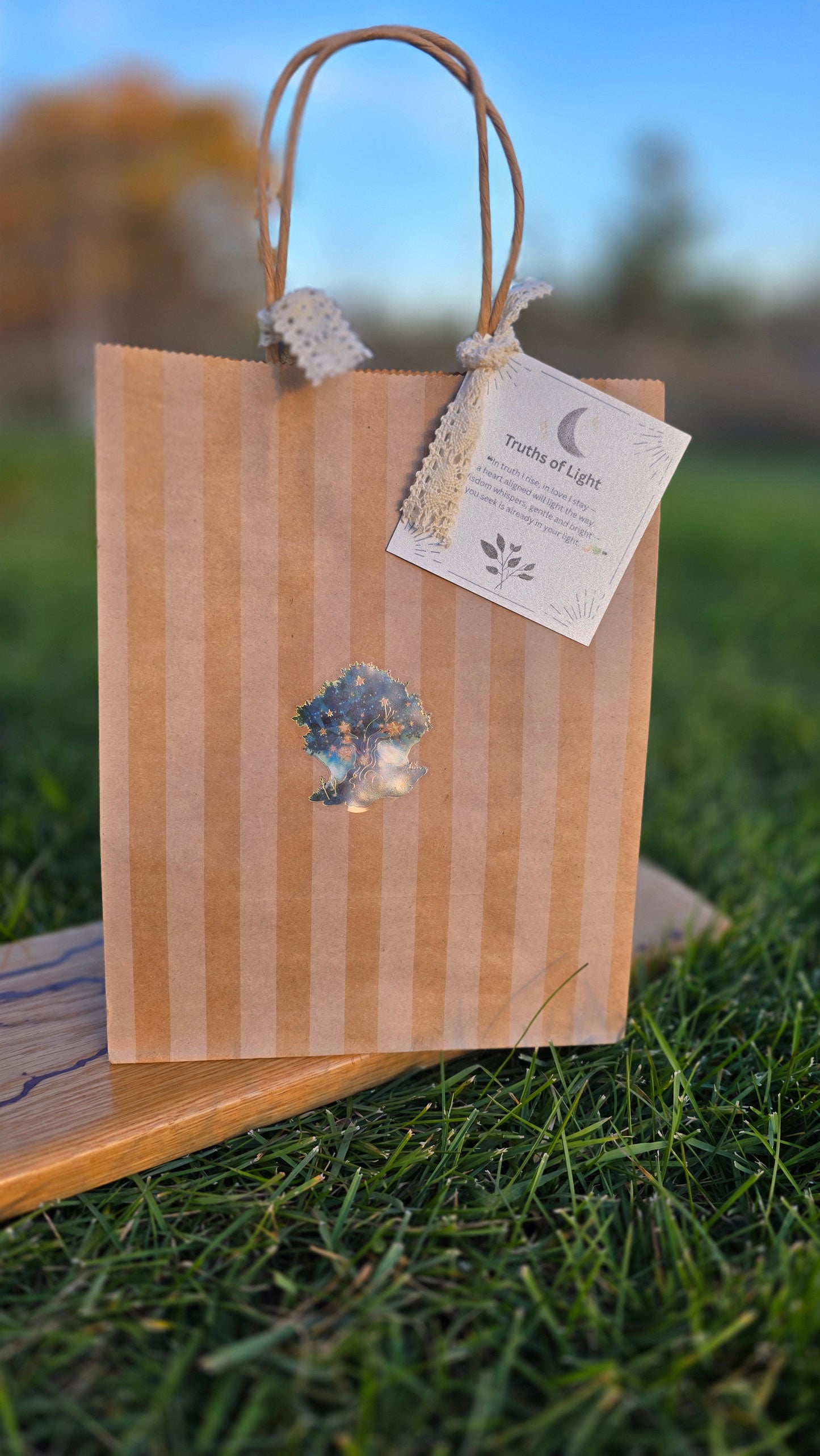 Truth of Light Mystery Bag