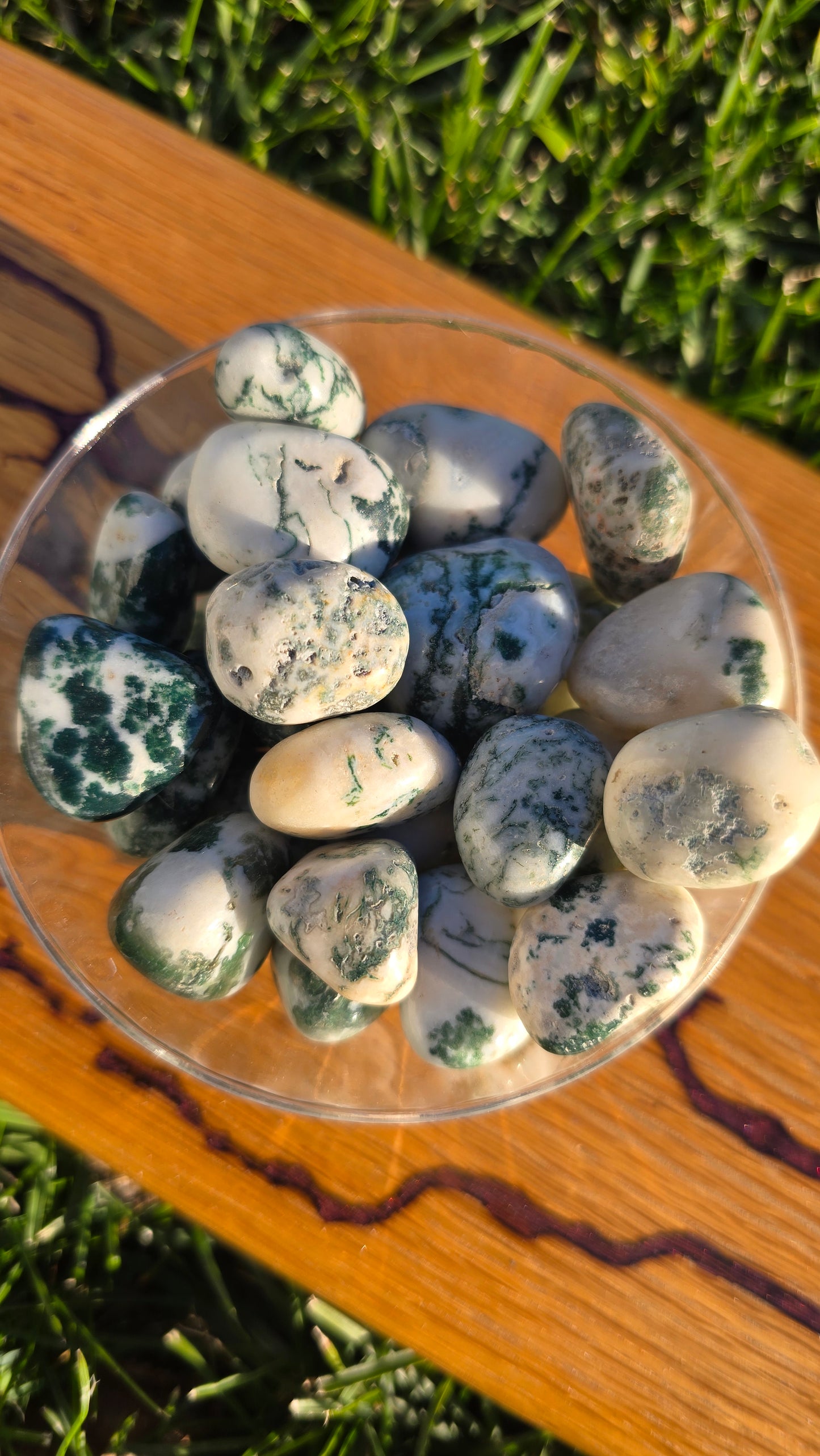 Tree Agate