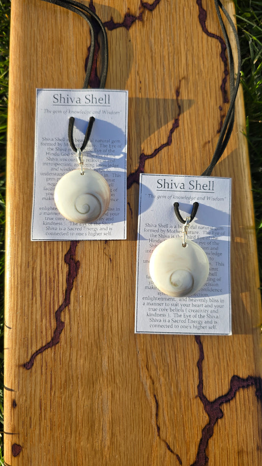 Shiva Shell Necklace