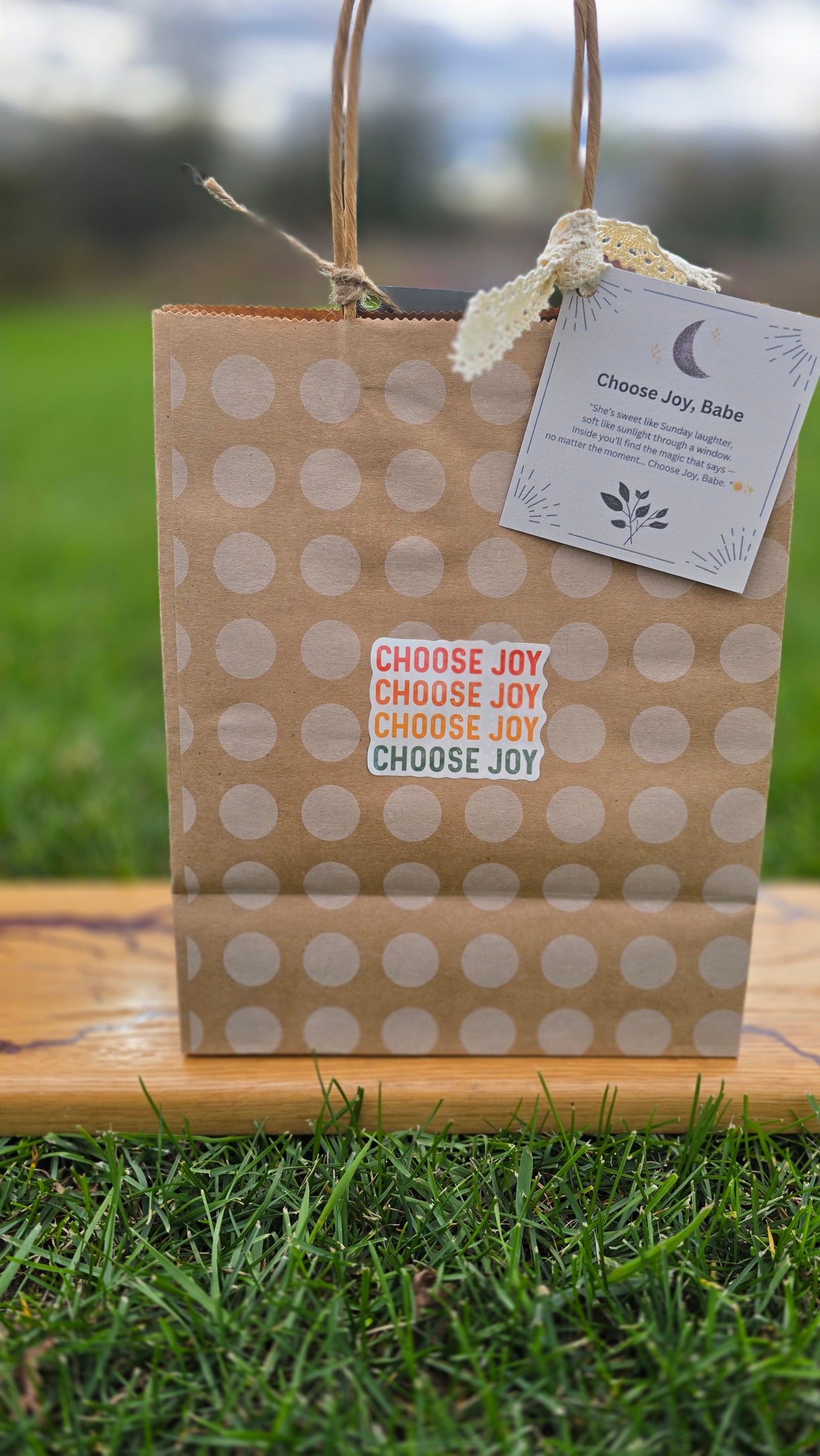 CHOOSE JOY, BABE  Mystery Bag by Intuitive Gift Co