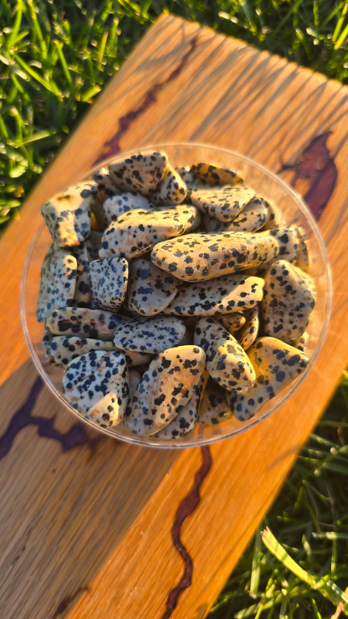 Dalmatian Jasper